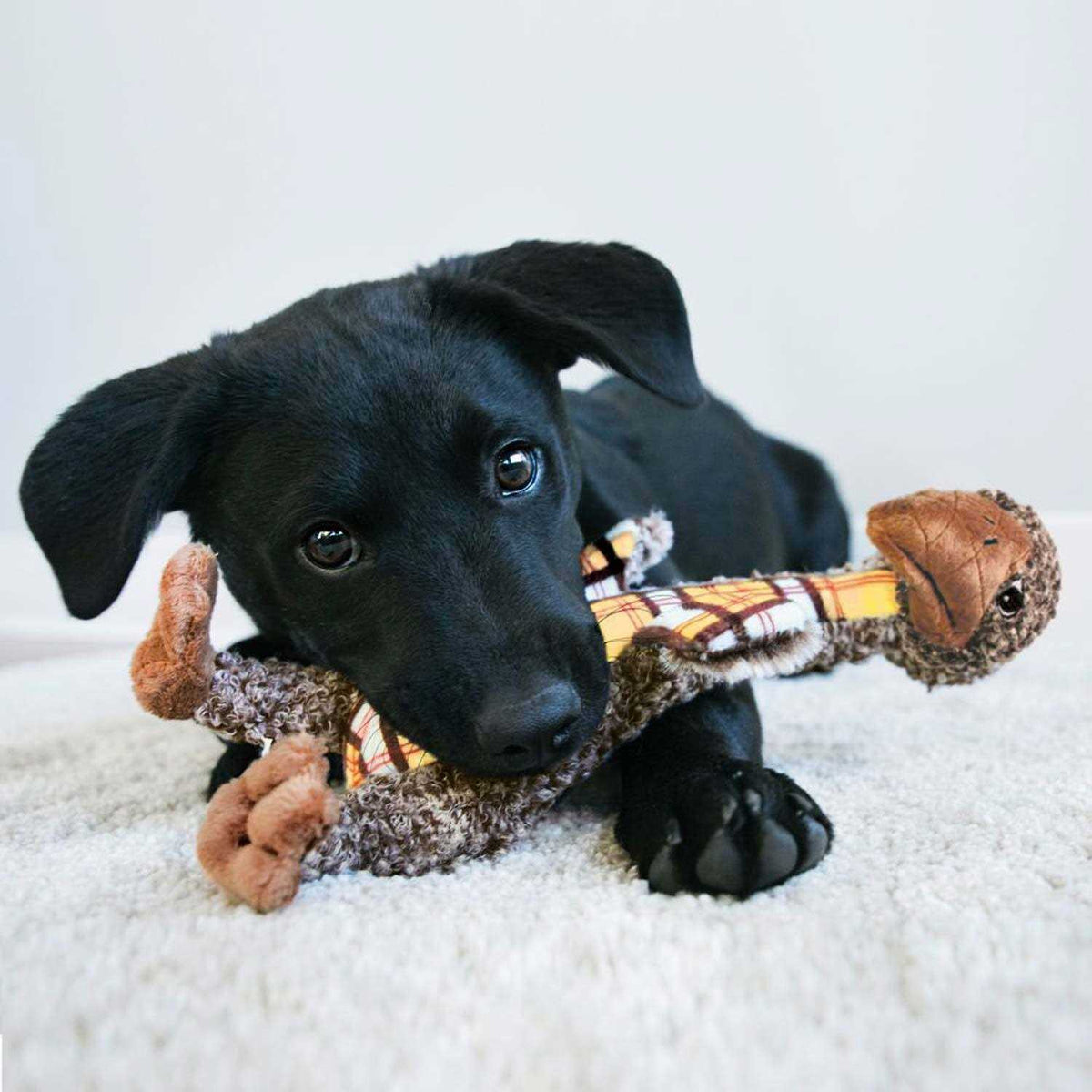 Elephant Dog Toy X619711