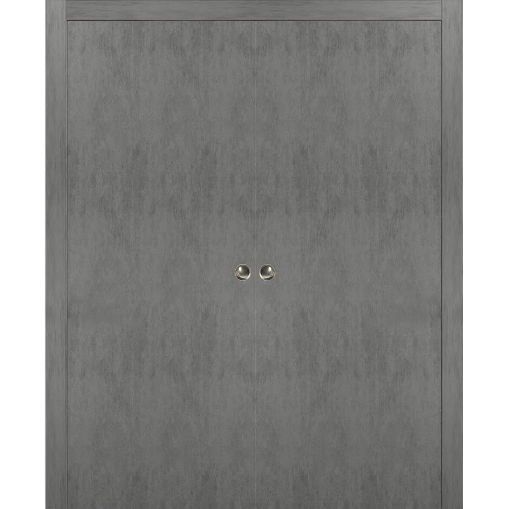 Solid Wood Sliding French Double Pocket Doors with Kit Trims Rail Hardware V173