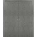 Solid Wood Sliding French Double Pocket Doors with Kit Trims Rail Hardware V173