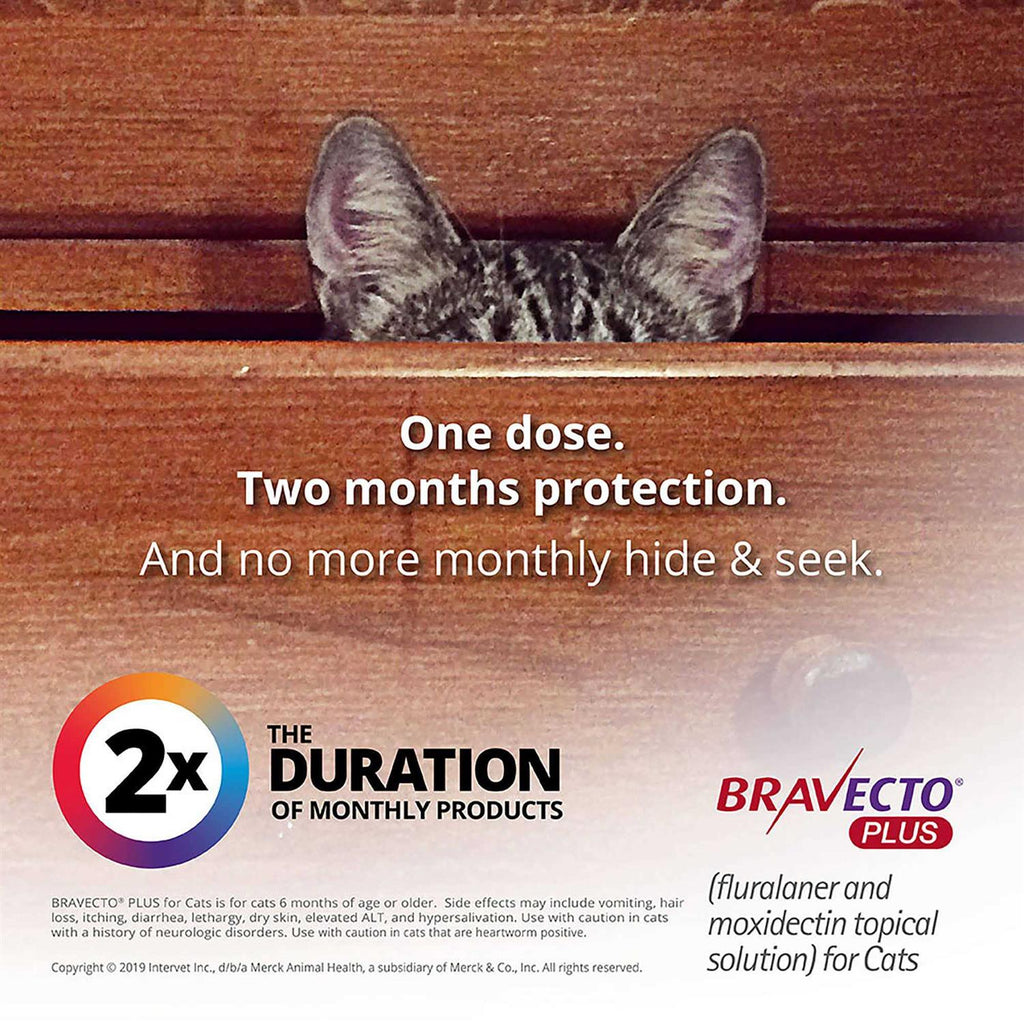 Topical Solution for Cats R194