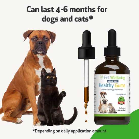 Healthy Gums for Feline Periodontal Health N58011