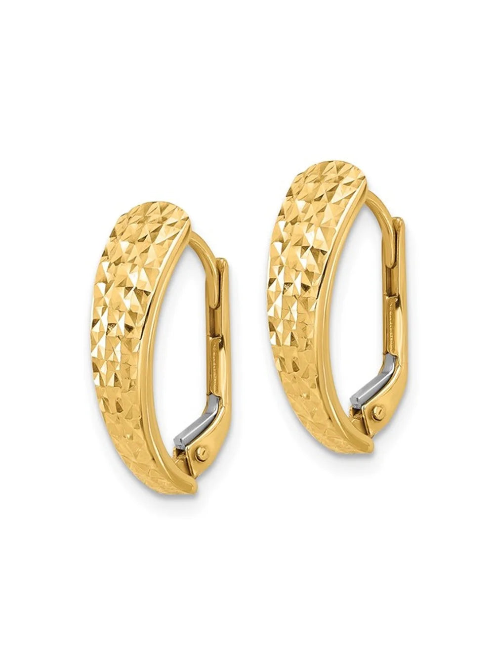 14K Yellow Gold Leverback Hoop Earrings Y1790