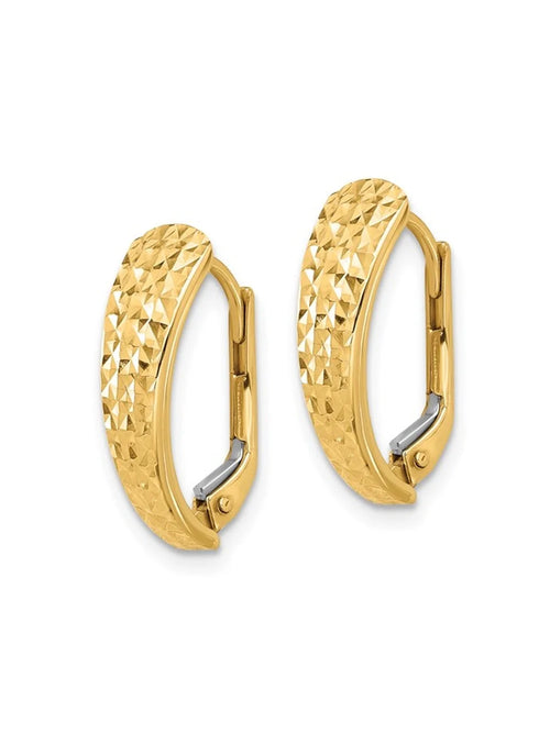 14K Yellow Gold Leverback Hoop Earrings Y1790