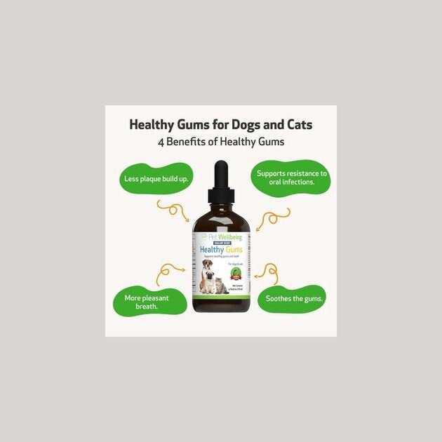 Healthy Gums for Feline Periodontal Health N58011