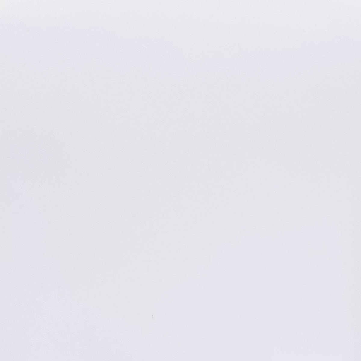 White Dining Chair Set of 4 E738