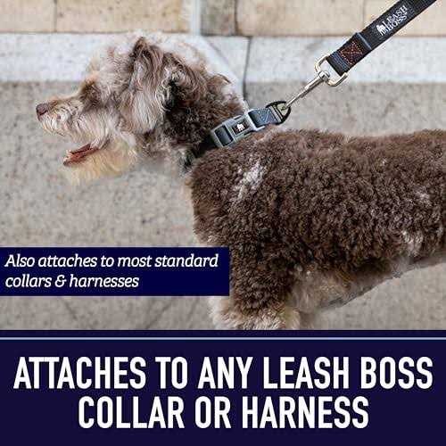 10 Foot Dog Leash with Padded Handle E834918