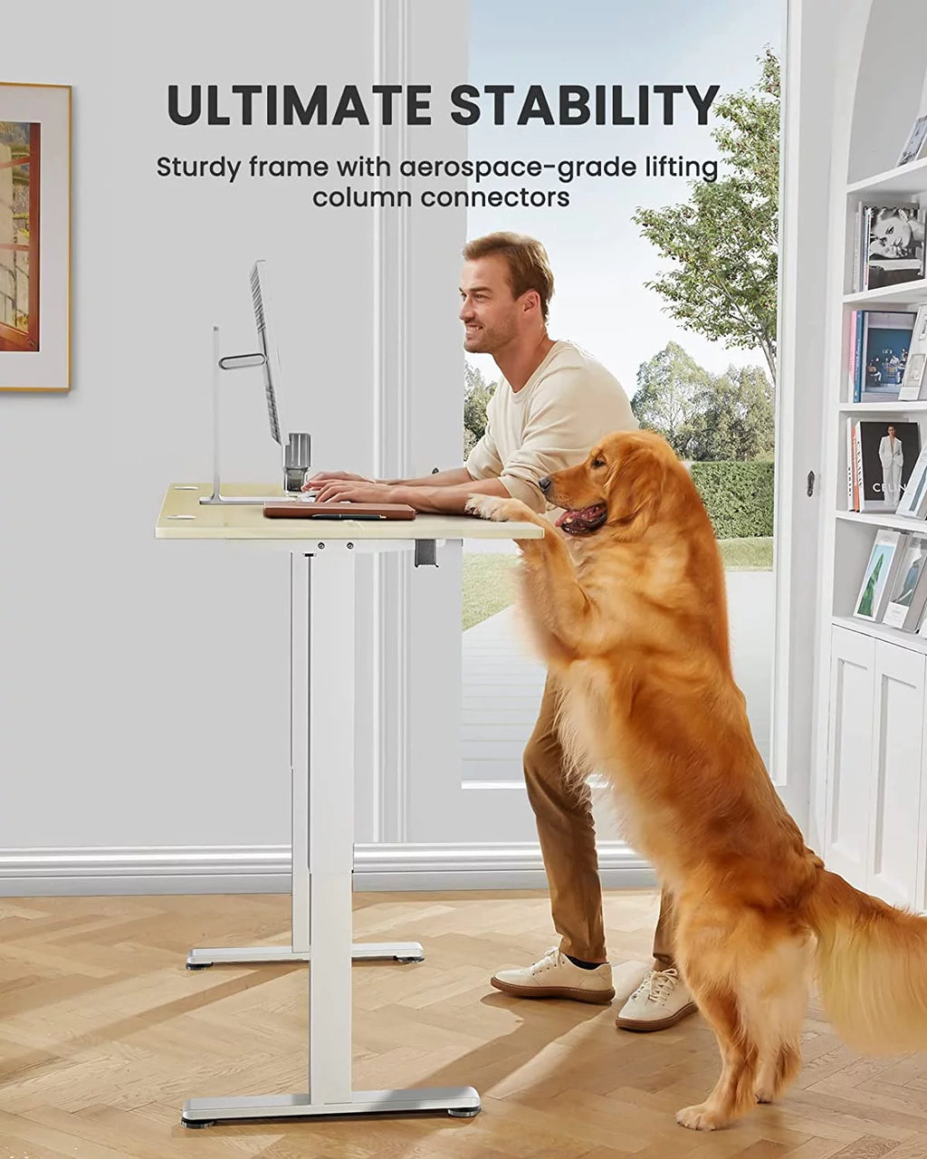 Electric Standing Desk 48" x 24" Height Adjustable T145