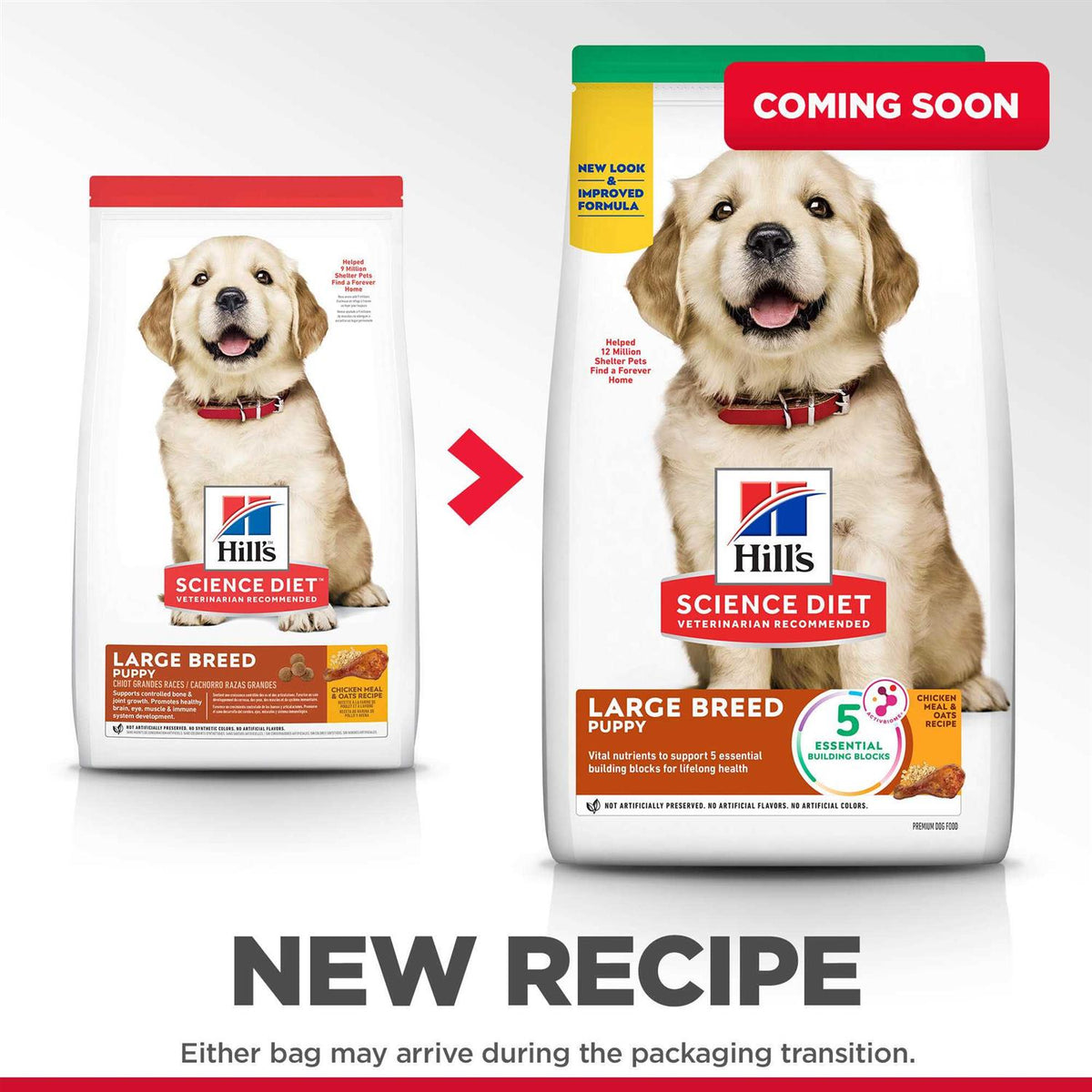 Chicken Recipe Dry Dog Food D470271