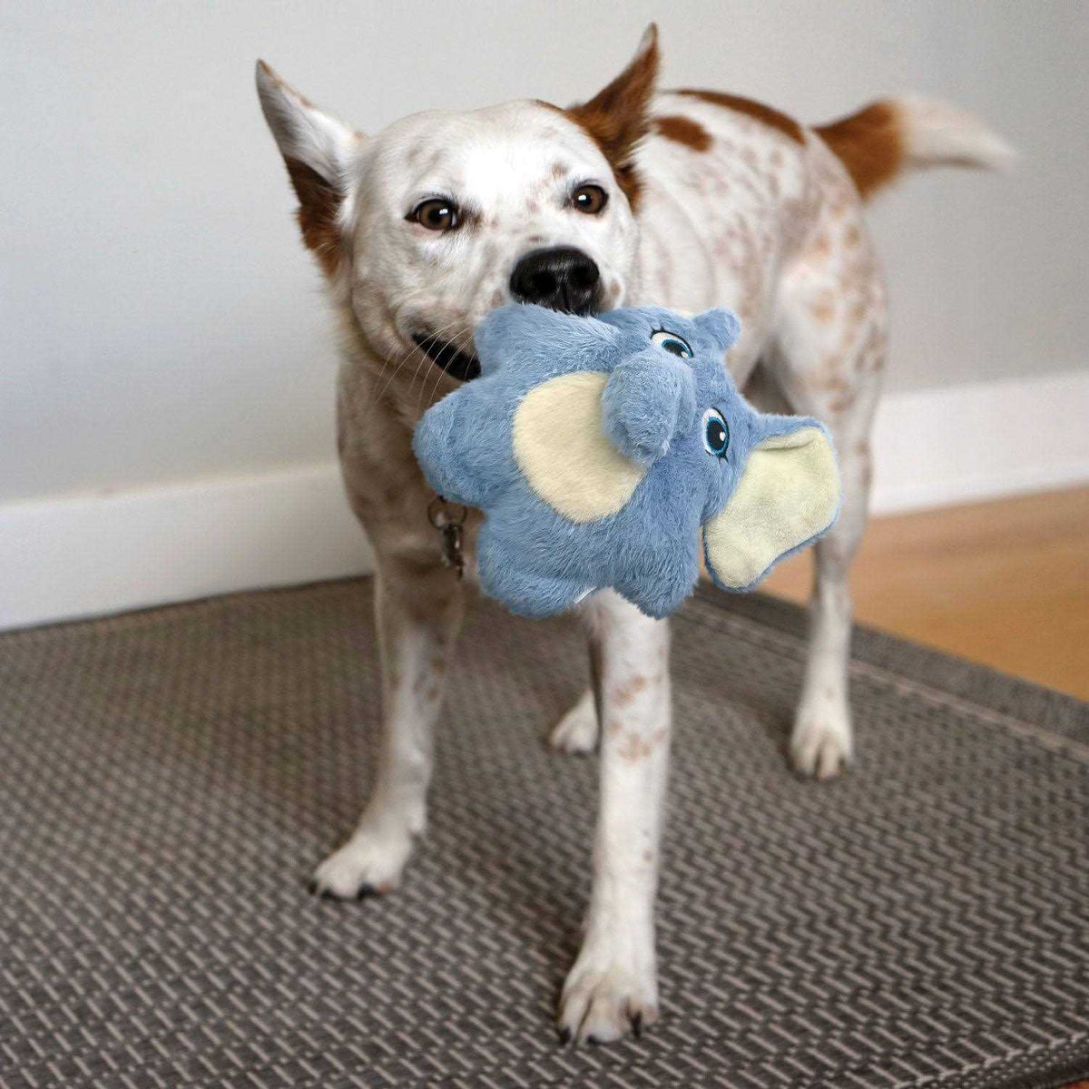 Bunny Dog Toy M8461