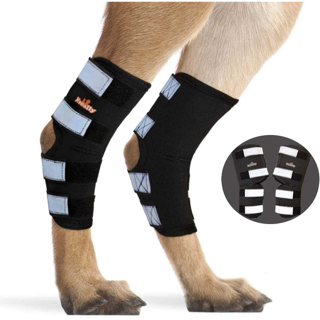 Dog Hind Leg Brace with Reflective Straps Q824728