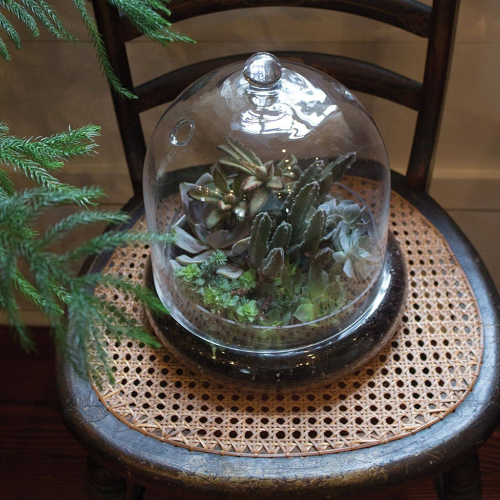 Mini Greenhouse Terrarium Cloche X356389