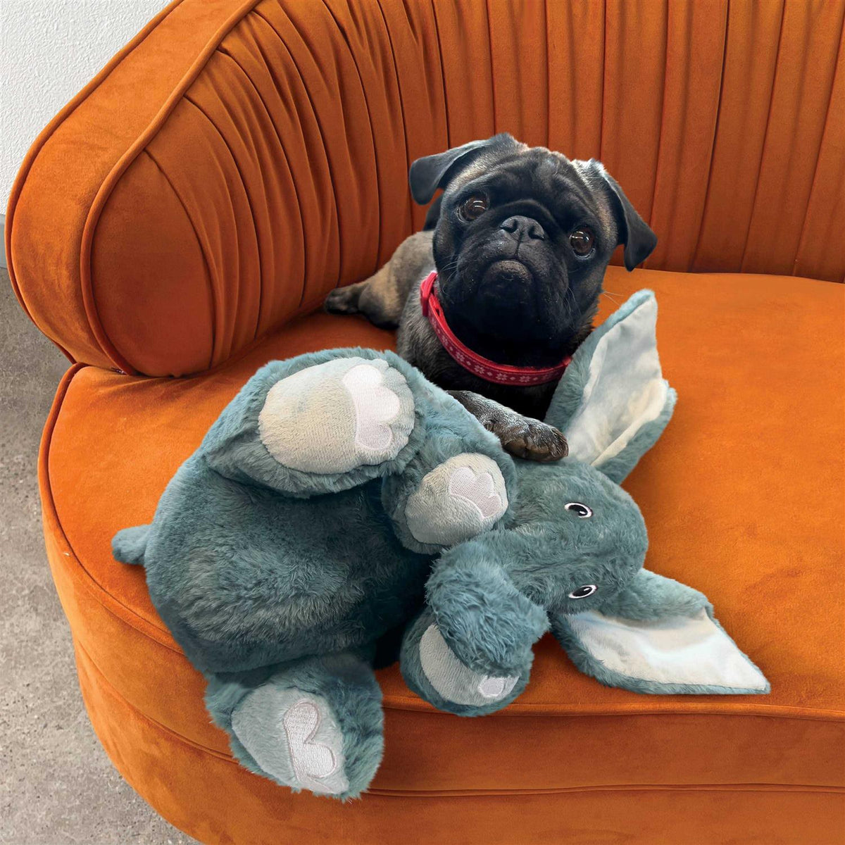 Elephant Dog Toy G682261